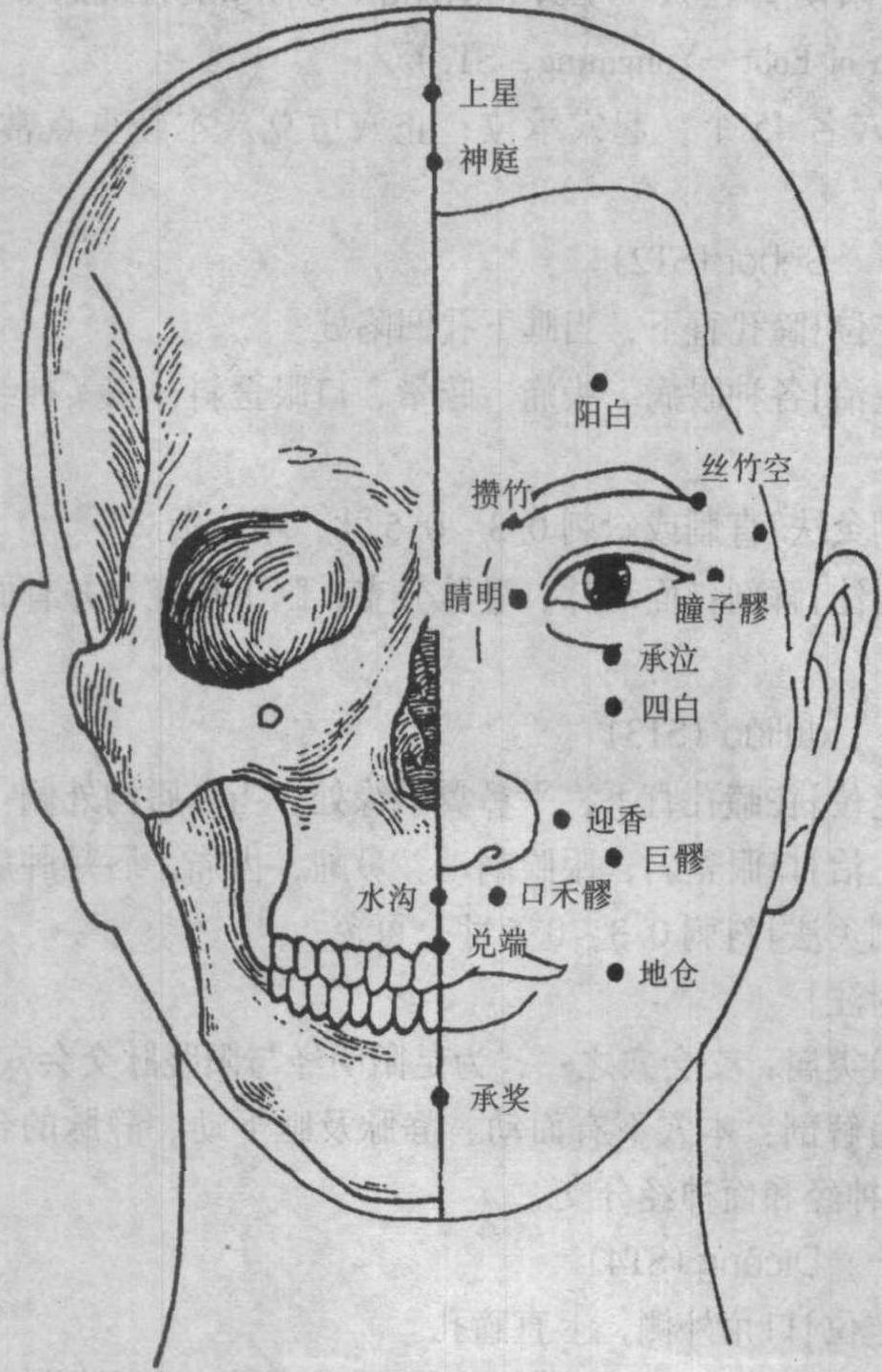 五、常用腧穴